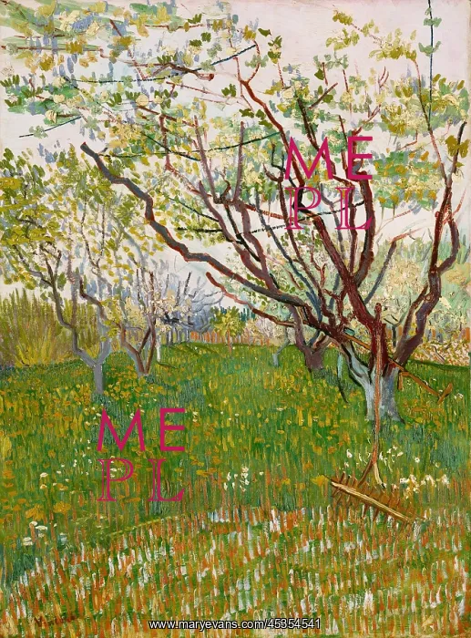 : The Flowering Orchard, by Vincent Van Gogh, 1888 : The Flowering Orchard, by Vincent Van Gogh, 1888
