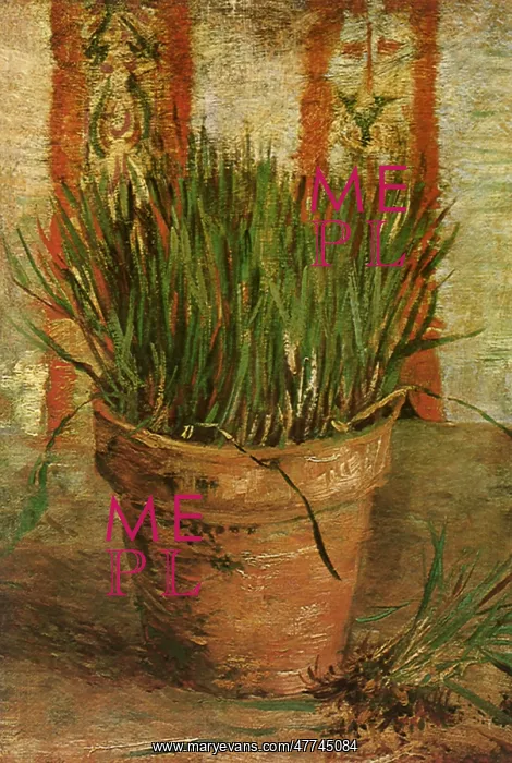 : Flowerpot with Chives, by Van Gogh : Flowerpot with Chives, by Van Gogh