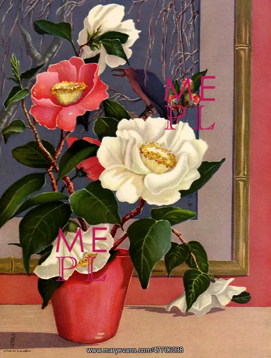  : Flowerpot and Painting