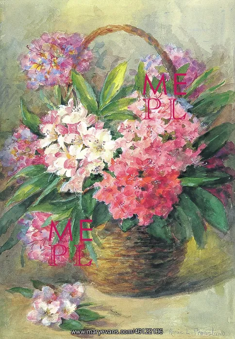  : Flowers by Annie L Pressland