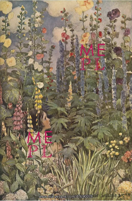  : The Flowers