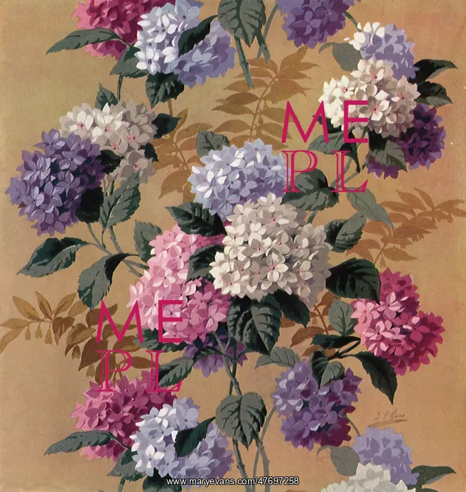 : Flowers : Flowers