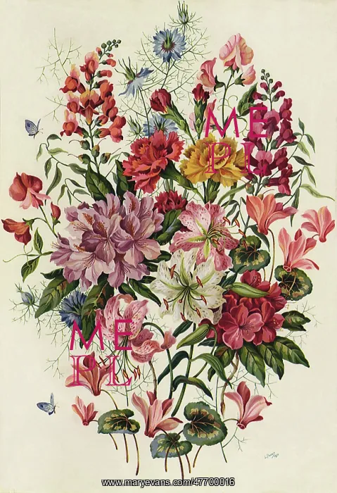  : Flowers