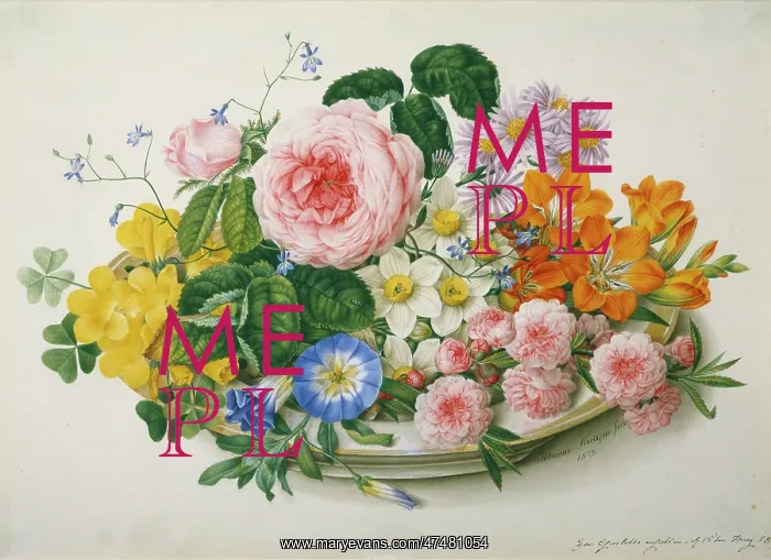  : Flowers in a Bowl - including pink rose