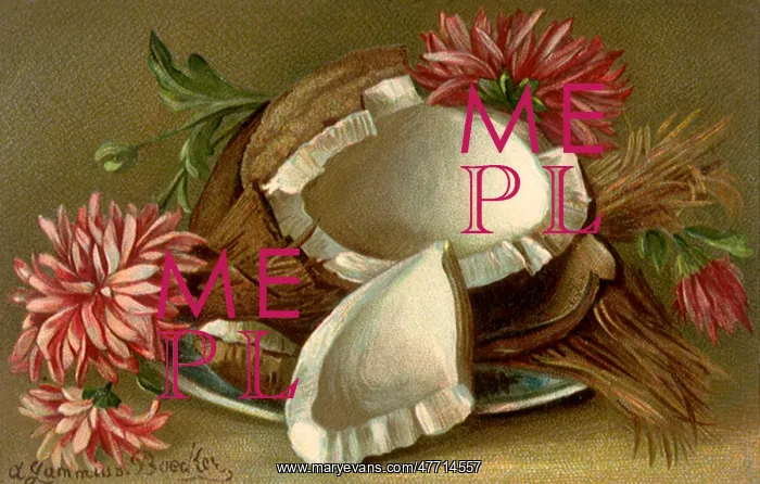  : Flowers and Coconut