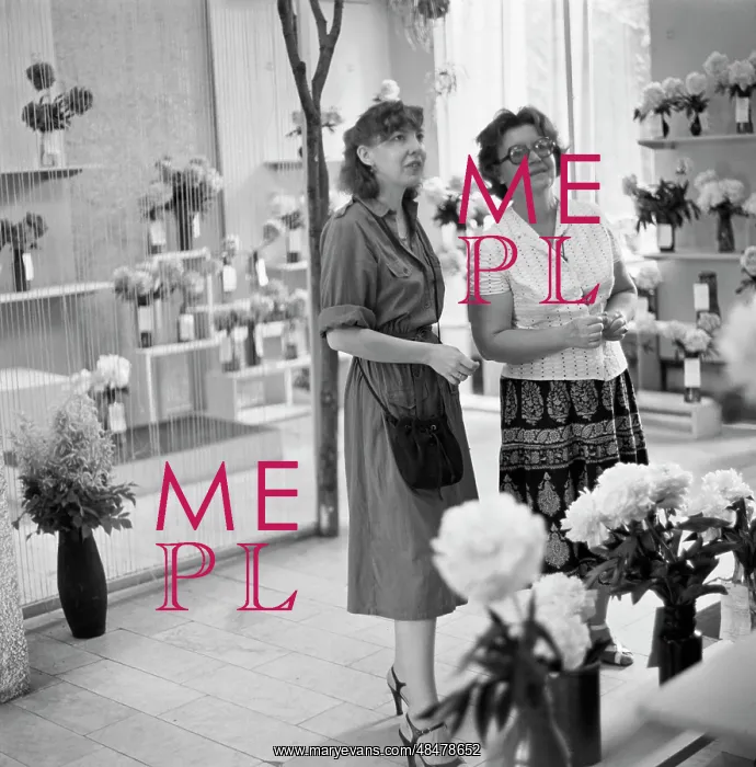 : Flowers Exhibition : Flowers Exhibition