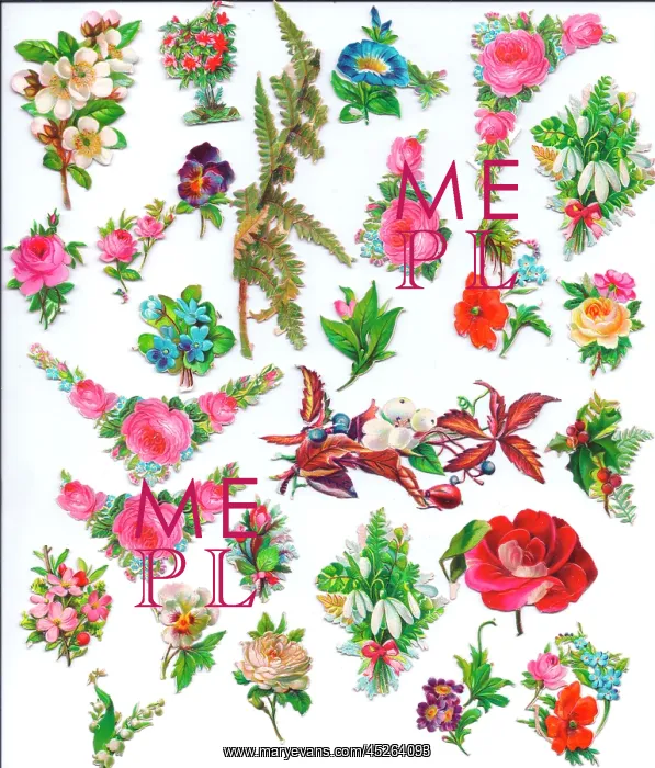 : Flowers and foliage on an assortment of Victorian scraps : Flowers and foliage on an assortment of Victorian scraps