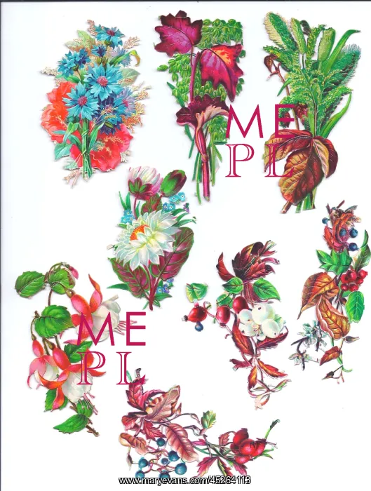 : Flowers and foliage on eight Victorian scraps : Flowers and foliage on eight Victorian scraps