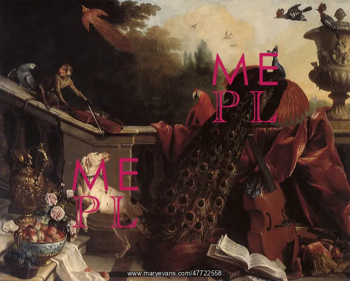 : Flowers, Fruit, Animals and Musical Instruments : Flowers, Fruit, Animals and Musical Instruments