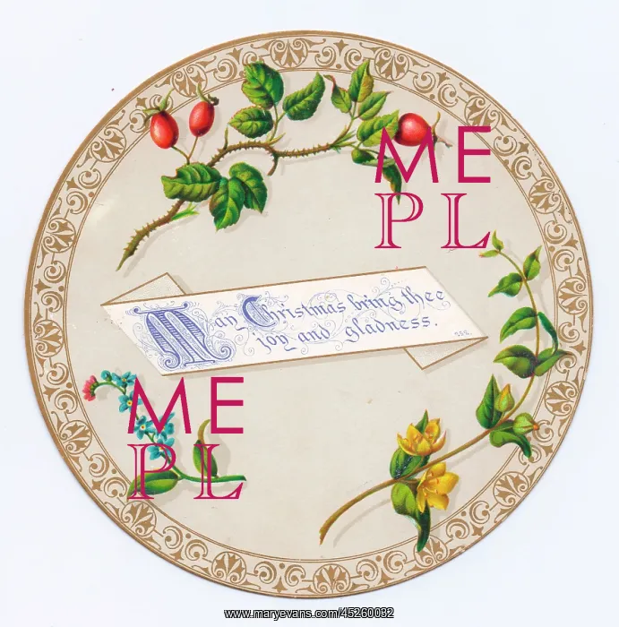  : Flowers and fruit on a circular Christmas card