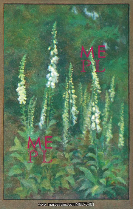  : Flowers & Gardens