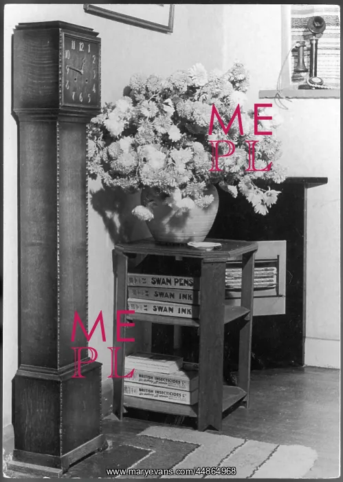 : FLOWERS IN HALLWAY : FLOWERS IN HALLWAY