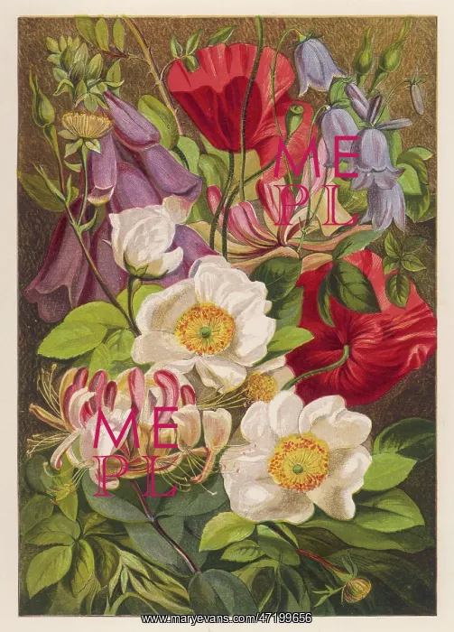  : Flowers of July - August