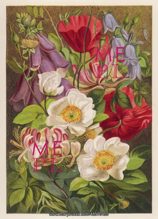  : Flowers of July - August