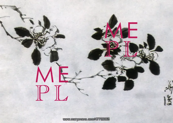  : Flowers and Leafs