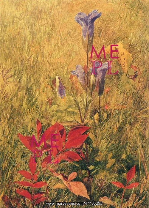  : Flowers, Leaves, Grass