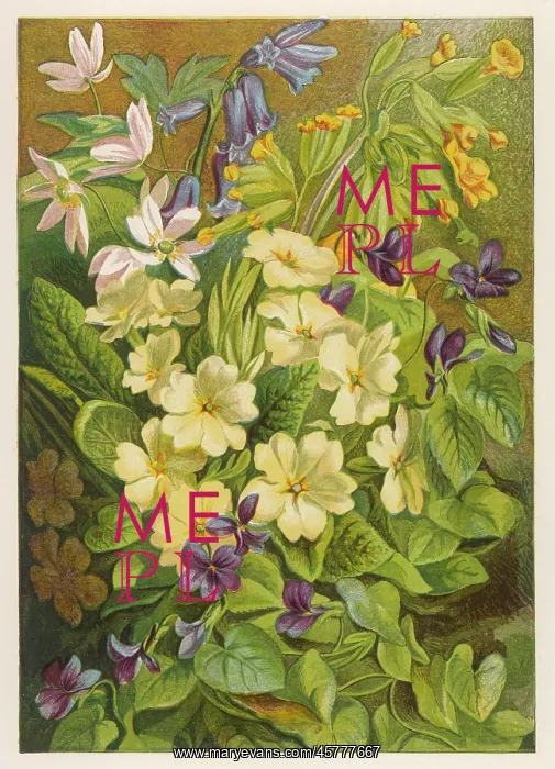 : FLOWERS OF MARCH & APRIL : FLOWERS OF MARCH & APRIL