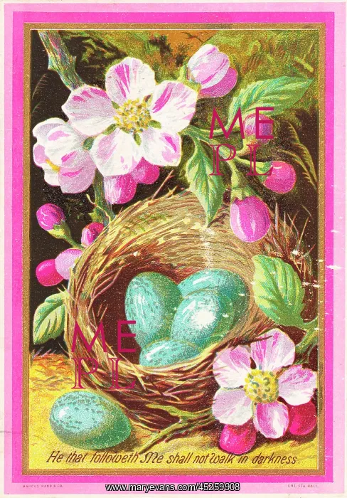 : Flowers and a nest of eggs on an Easter card : Flowers and a nest of eggs on an Easter card
