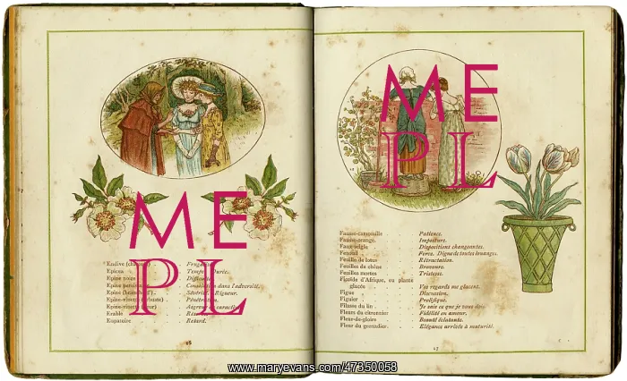 : FLOWERS AND PEOPLE 1884 : FLOWERS AND PEOPLE 1884