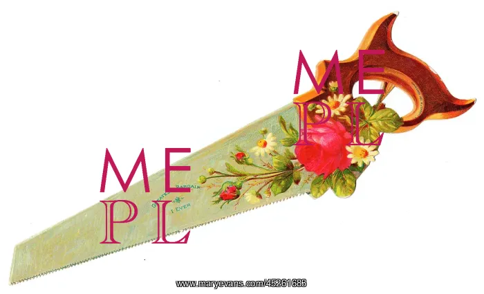 : Flowers on a saw-shaped Victorian scrap : Flowers on a saw-shaped Victorian scrap