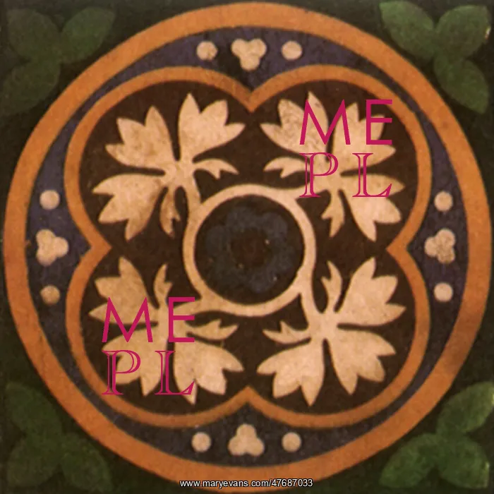  : Flowers and Star