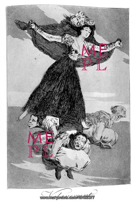 : They have flown, 1799 Francisco Goya : They have flown, 1799 Francisco Goya