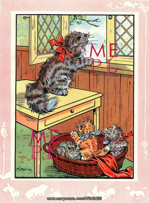 : Fluff the cat and her three kittens : Fluff the cat and her three kittens