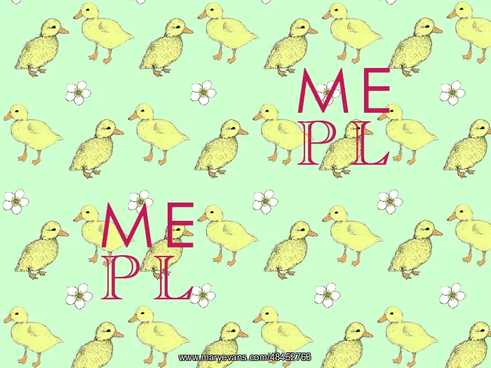 : Fluffy yellow ducklings on a pale green background : Fluffy yellow ducklings on a pale green background