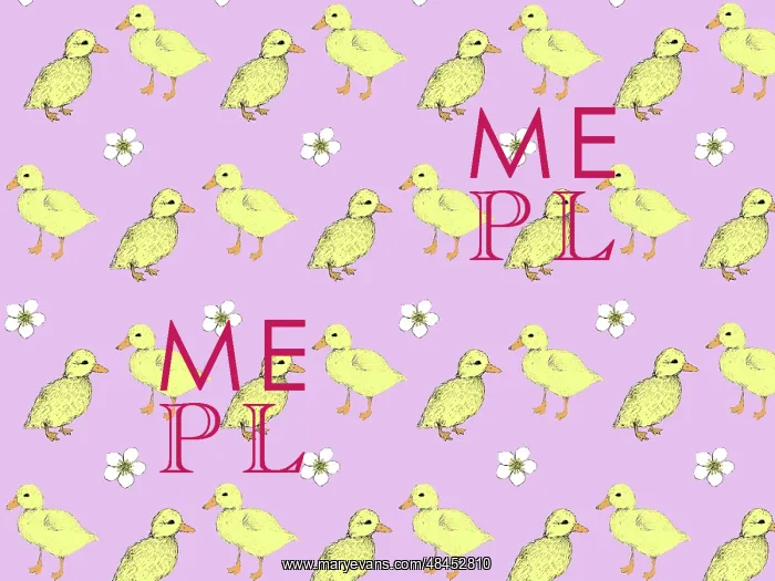 : Fluffy yellow ducklings in a repeating pattern : Fluffy yellow ducklings in a repeating pattern
