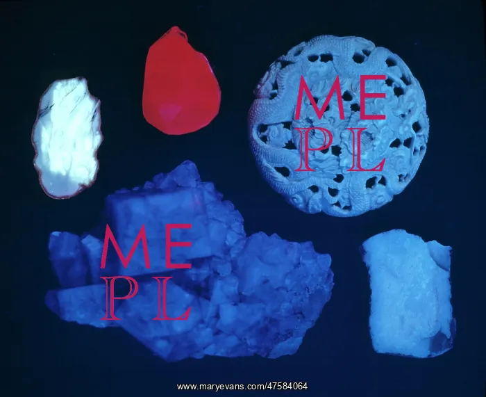 : Fluorescent group : Fluorescent group