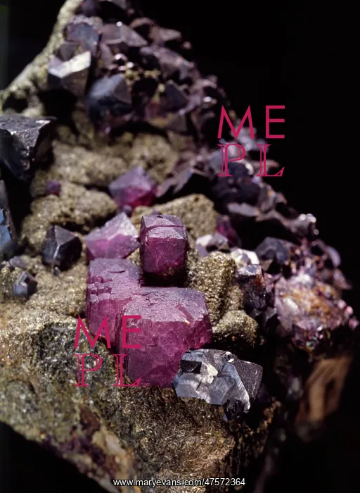 : Fluorite. A specimen of the mineral fluorite (Calcium Fluoride), : Fluorite. A specimen of the mineral fluorite (Calcium Fluoride),