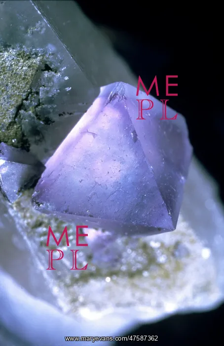 : Fluorite. 6mm octahedral purple crystal on calcite collected from the Smith Vein, 1987 : Fluorite. 6mm octahedral purple crystal on calcite collected from the Smith Vein, 1987