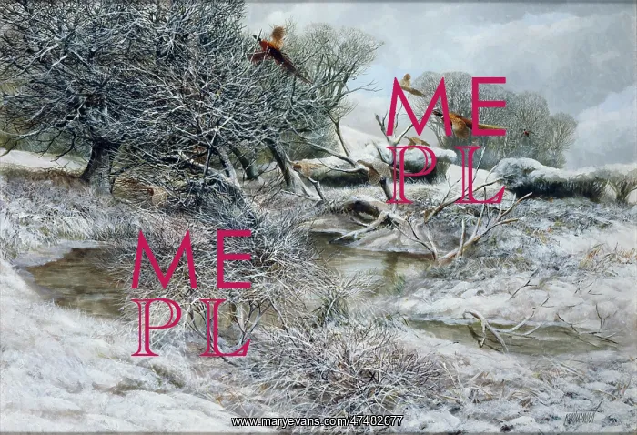 : Flush of Pheasants in Snow : Flush of Pheasants in Snow