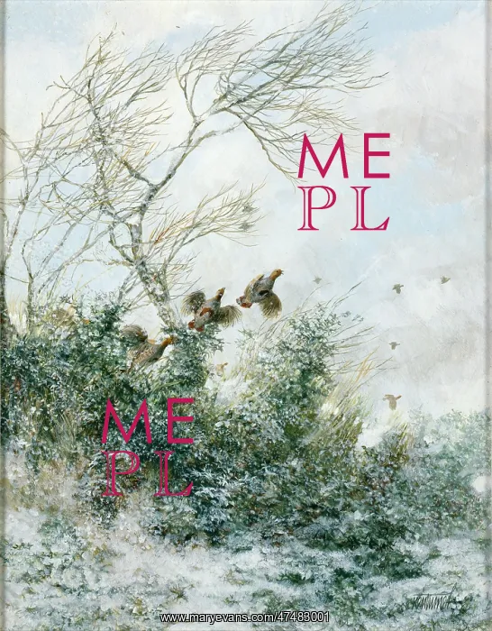 : Flush of Pheasants in Snow : Flush of Pheasants in Snow