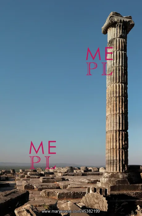 : Fluted column with Ionic capital at the Temple : Fluted column with Ionic capital at the Temple