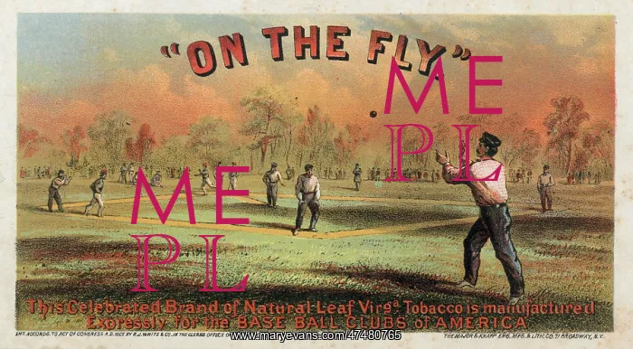 : On the fly : On the fly