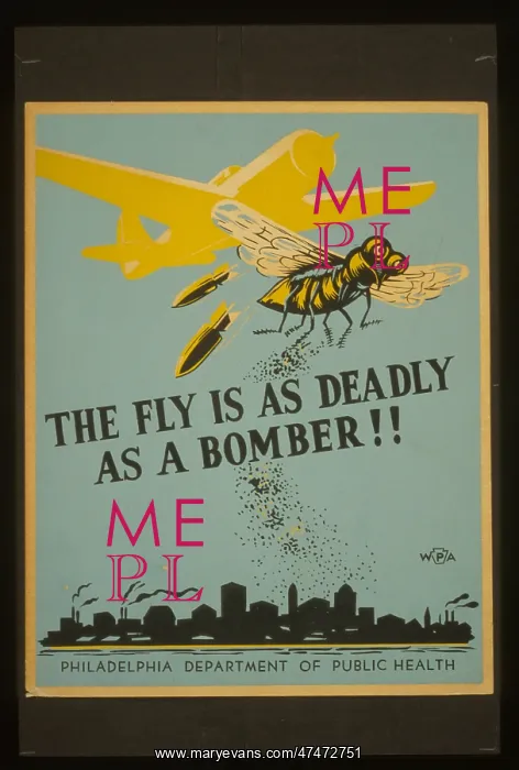 : The fly is as deadly as a bomber!! : The fly is as deadly as a bomber!!