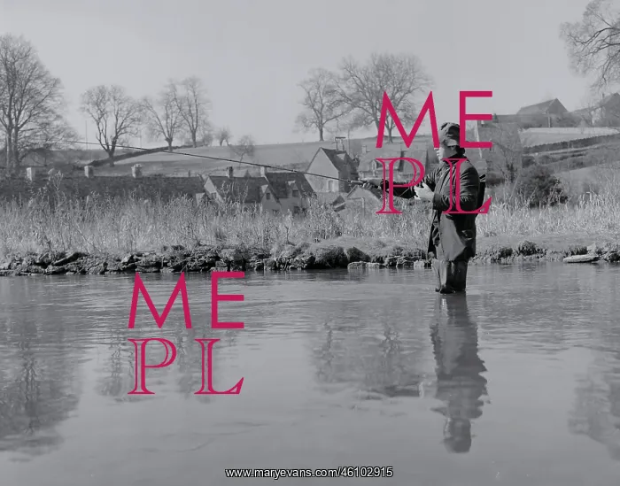 : Fly Fisherman : Fly Fisherman