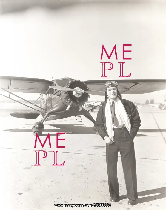 : Fly guy : Fly guy