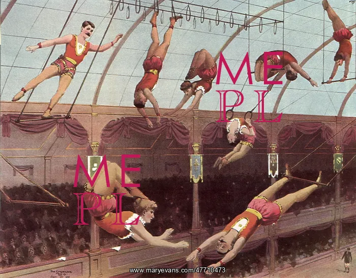  : Flying Acrobats