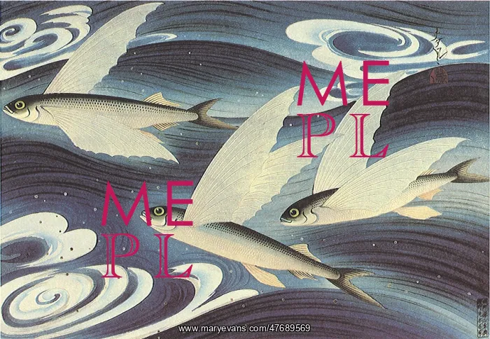  : Flying Fish