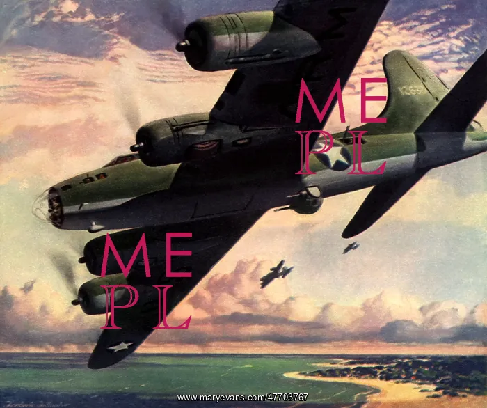 : Flying Fortress Bomber : Flying Fortress Bomber