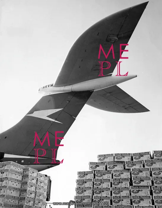 : FLYING MELONS : FLYING MELONS