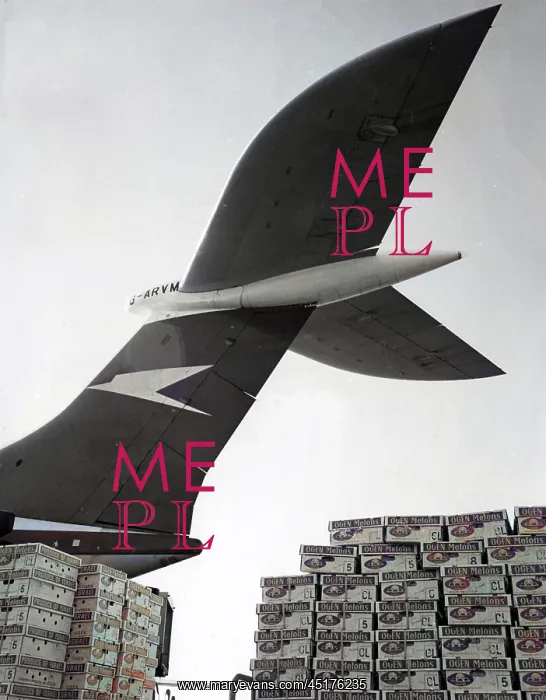 : FLYING MELONS : FLYING MELONS