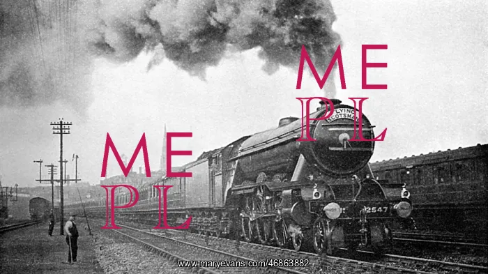 : The Flying Scotsman : The Flying Scotsman