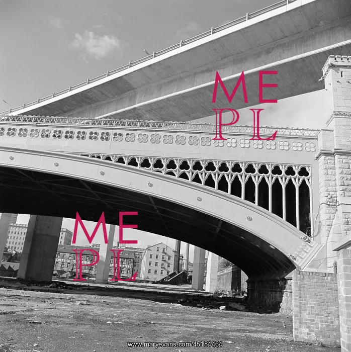 : Flyover. The modern elevated carriageway of Burdock Way passing above the : Flyover. The modern elevated carriageway of Burdock Way passing above the