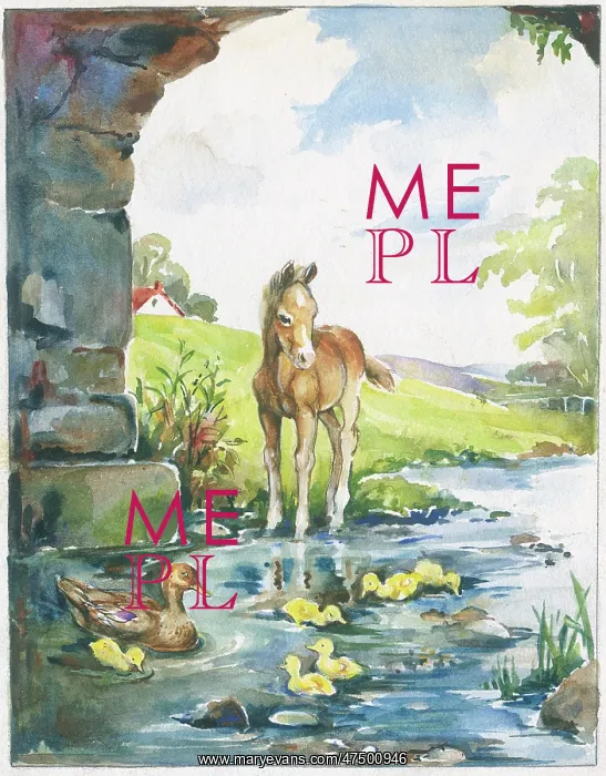 : Foal, duck and ducklings in stream under bridge : Foal, duck and ducklings in stream under bridge