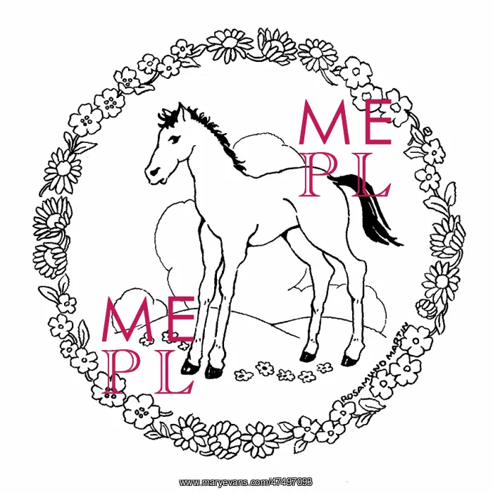  : Foal inside a wreath of spring flowers