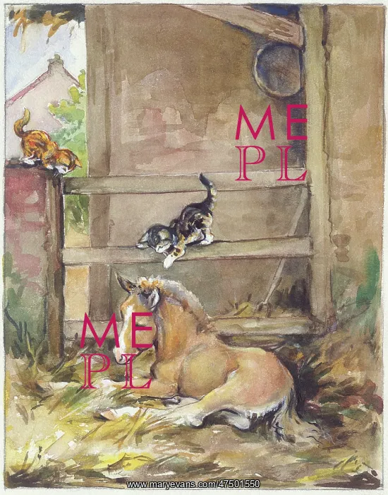  : Foal and two Kittens