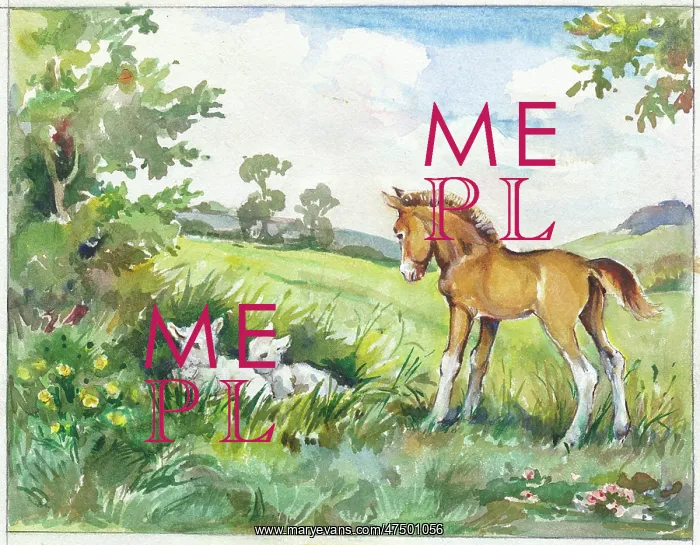  : Foal looking at two lambs